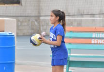 Volleyball1