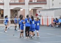 Volleyball7